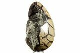 Septarian Dragon Egg Geode - Sparkly Black Crystals #378947-2